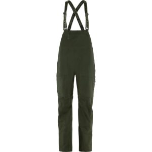 Bergtagen GTX Touring Bibs W