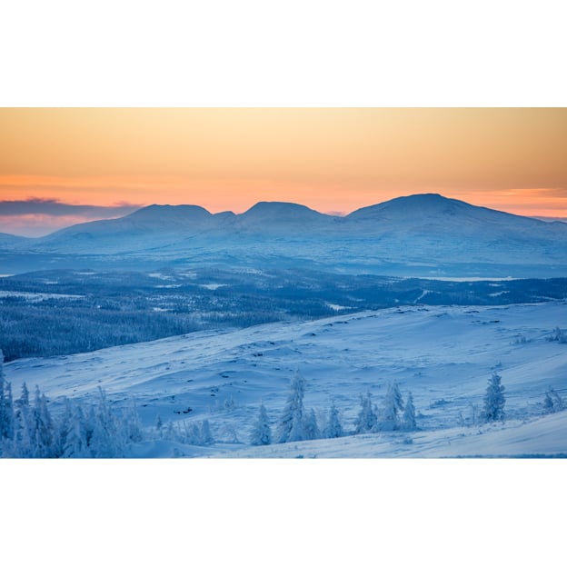 Polar -30 Reg - Image 7