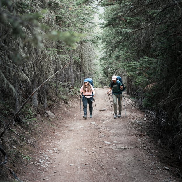 Abisko Hybrid Trail Trs W - Image 20